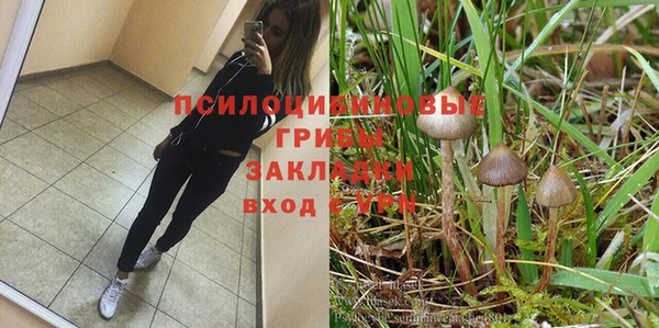 эйфоретик Саяногорск