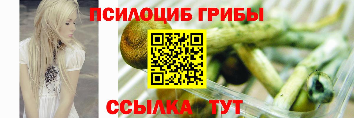 Псилоцибиновые грибы Cubensis Алексин